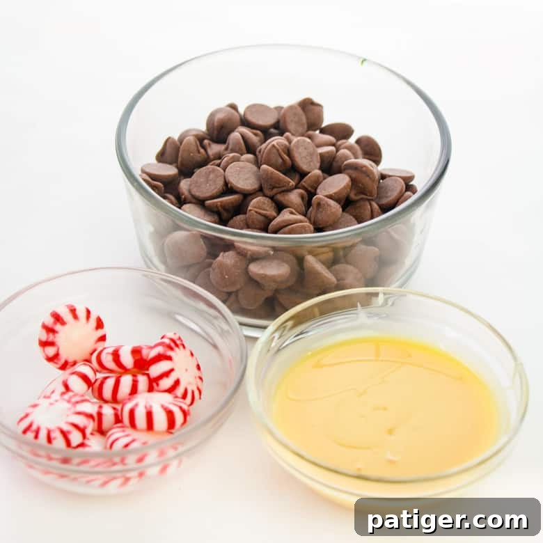 Ingredients for Easy Peppermint Fudge: chocolate chips, sweetened condensed milk, and crushed peppermints