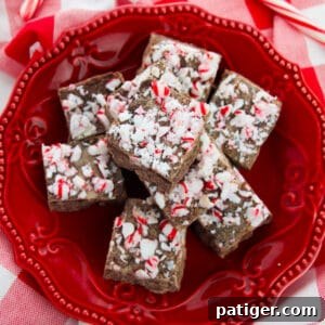 Chocolate Peppermint Fudge
