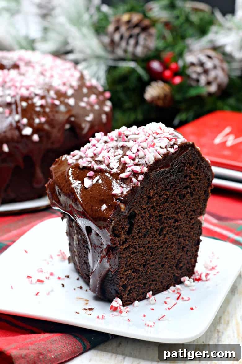 Slice of mocha cake topped with chocolate ganache and crushed peppermints