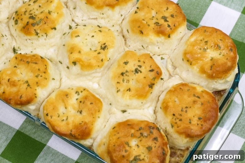 A large casserole dish filled with golden-brown biscuits and hearty gravy, ready to be served.