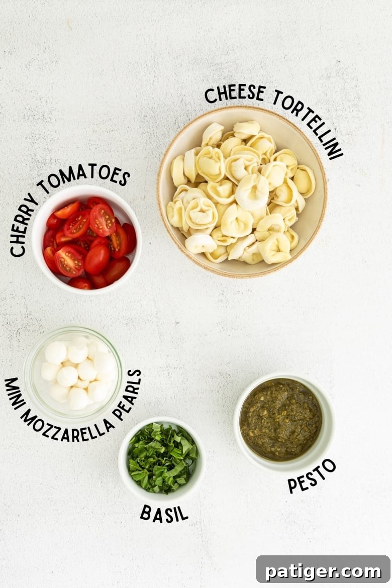 Individual ingredients for pesto pasta salad laid out: fresh cherry tomatoes, uncooked cheese tortellini, mini mozzarella pearls, and a generous bunch of fresh basil next to a container of vibrant pesto.
