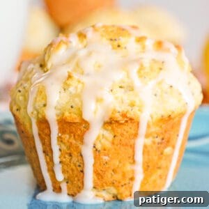 Zesty Lemon Poppy Seed Muffins 6 Lemon poppy seed muffin drizzled with lemon glaze which is dripping down the sides