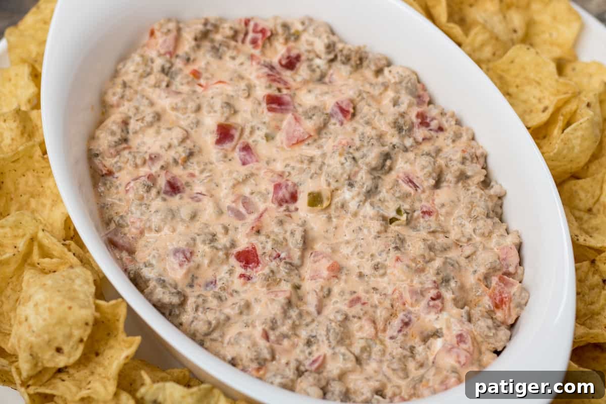 Creamy sausage dip in a white serving dish surrounded by crispy tortilla chips