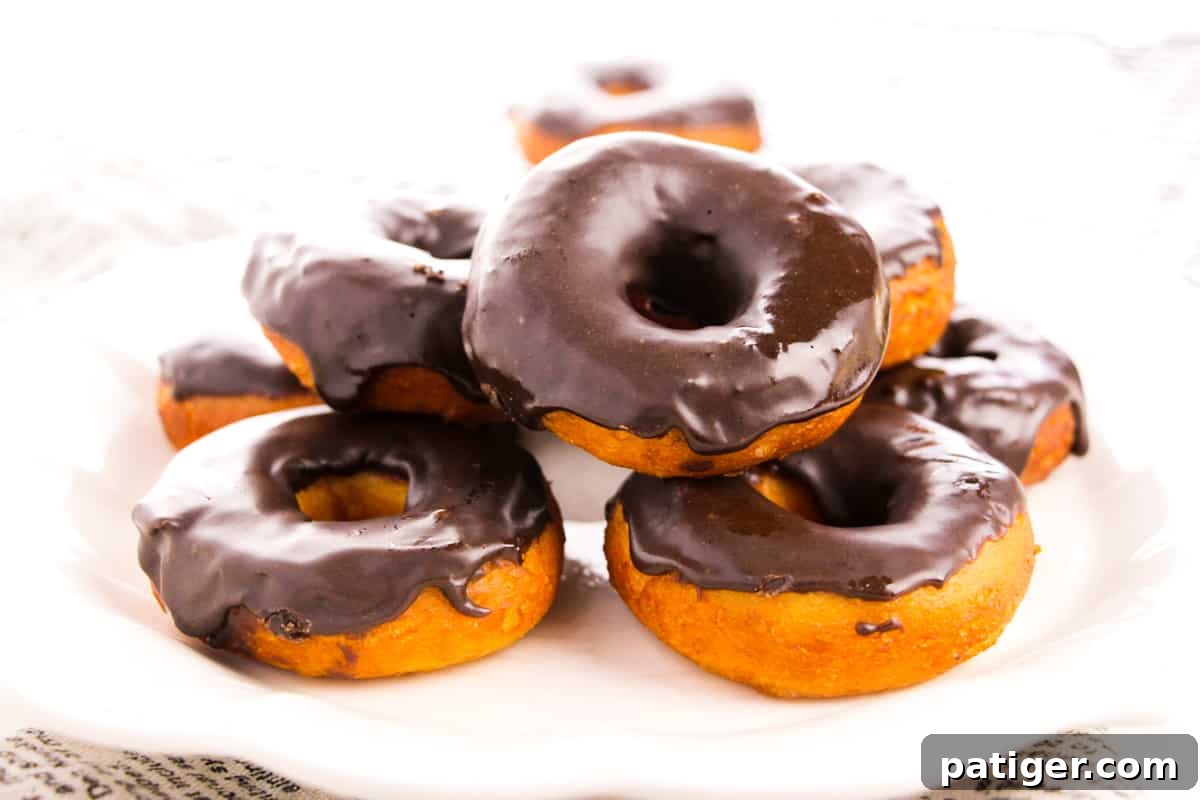 Choco-Biscuit Bliss Bites 10 Chocolate frosted doughnuts on white plate