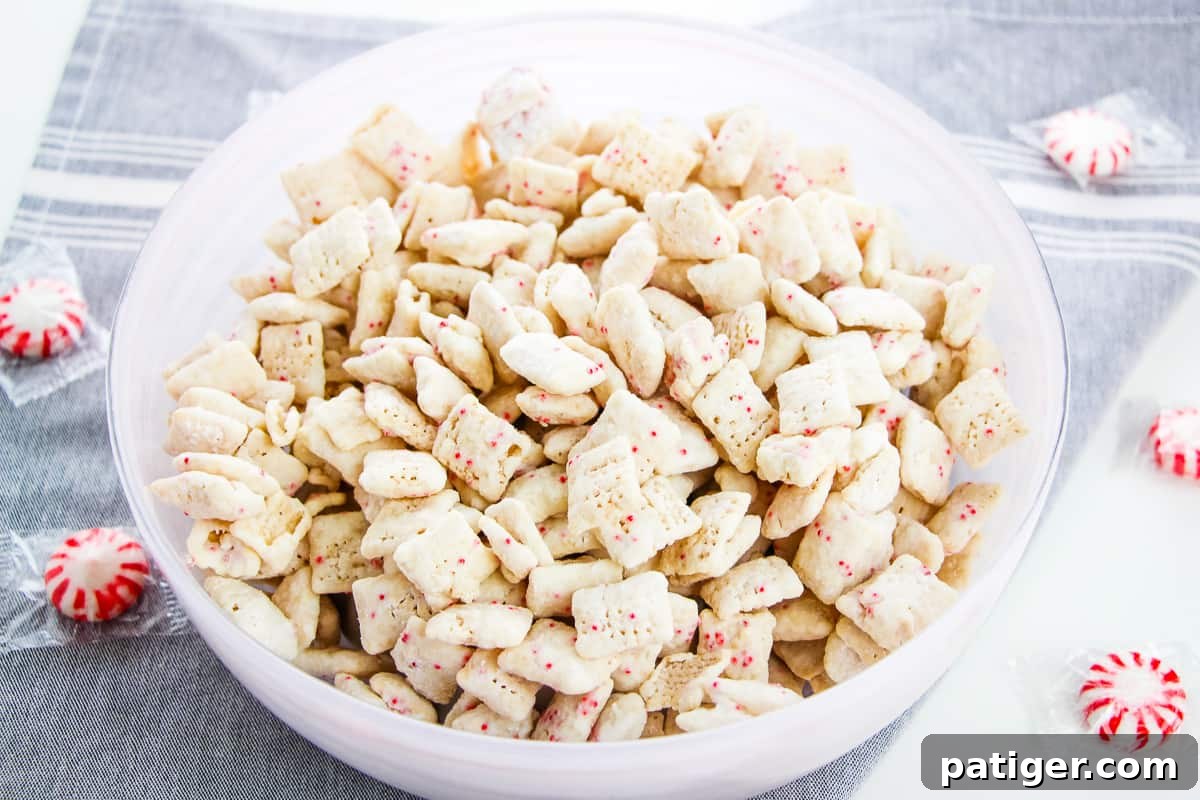 Winter Mint Bark Buddy Bites 4 A close-up shot of individual pieces of Peppermint Bark Muddy Buddies, showing the perfect powdered sugar coating and minty specks.