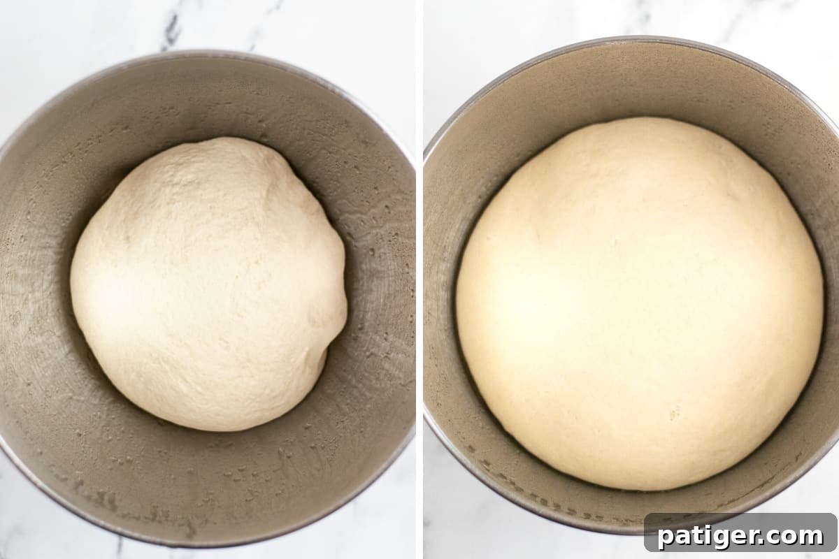 Left: dough ball in mixing bowl. On right, dough ball after rising and doubling in size.