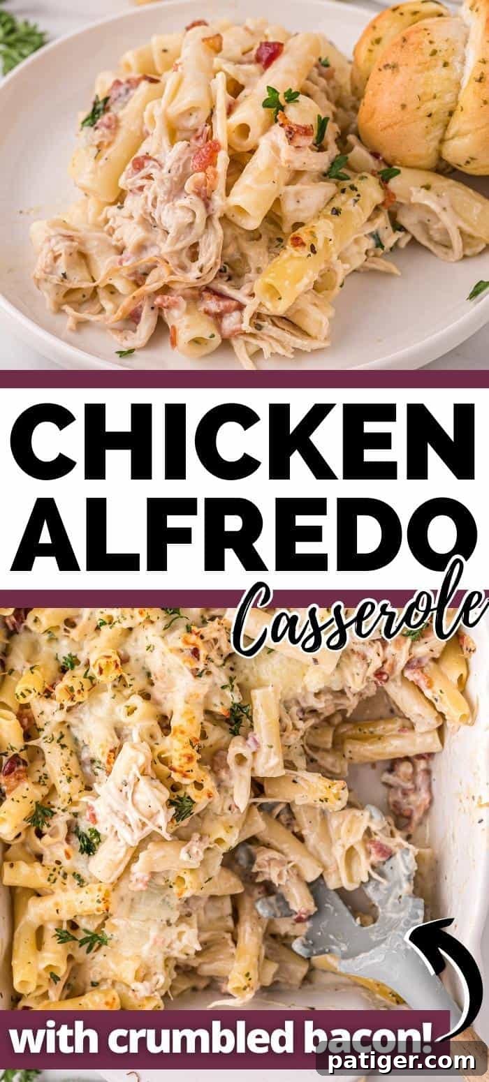 Golden Alfredo Chicken Bake 15 Chicken Alfredo Casserole with crumbled bacon and a sprinkle of parsley, presented beautifully for serving.