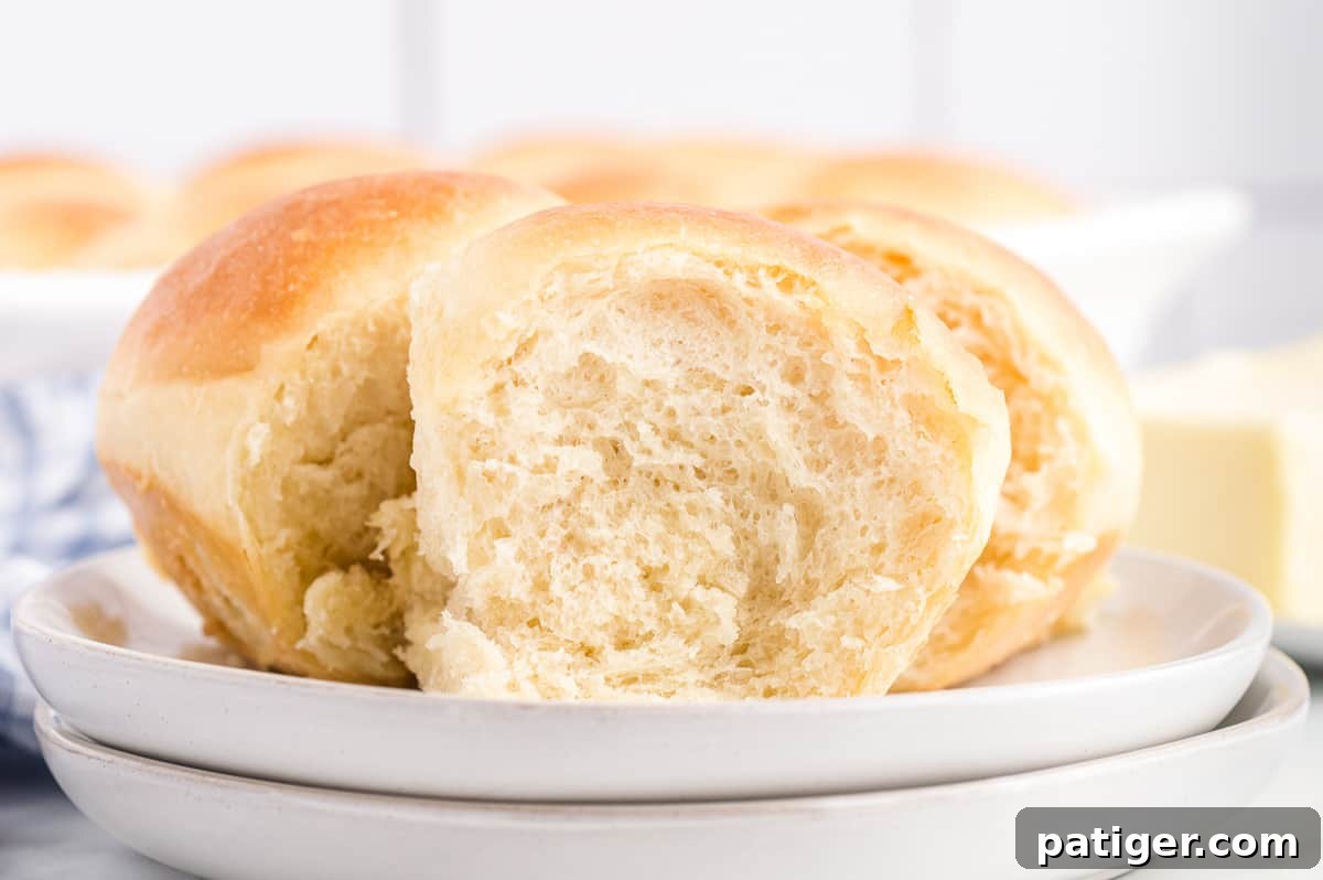 Soft Homemade Dinner Rolls