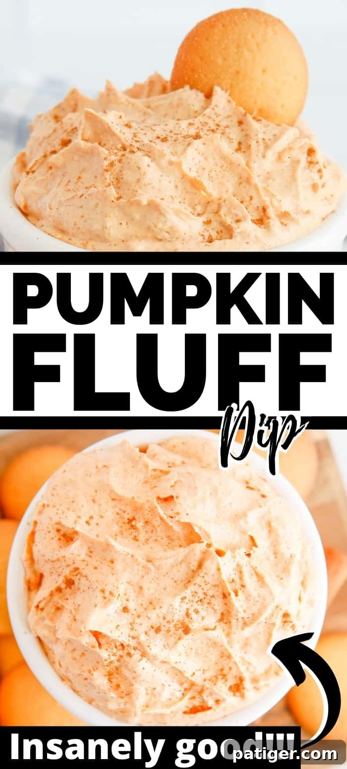 Pillowy Pumpkin Delight 11 Pinterest image featuring a bowl of Pumpkin Fluff Dip surrounded by dippers, with text overlay: 'Pumpkin Fluff Dip; Insanely Good!!! A perfect no-bake fall dessert.'