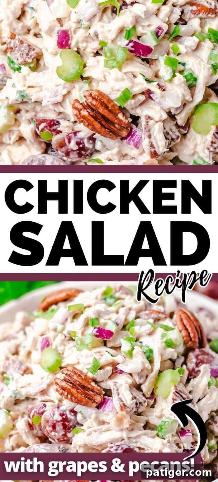 Signature Grape and Pecan Chicken Salad 9 A visually stunning image of the Chicken Salad with Grapes and Pecans, perfect for sharing on social media platforms like Pinterest. The image showcases the salad's fresh ingredients and creamy texture in an appetizing way.