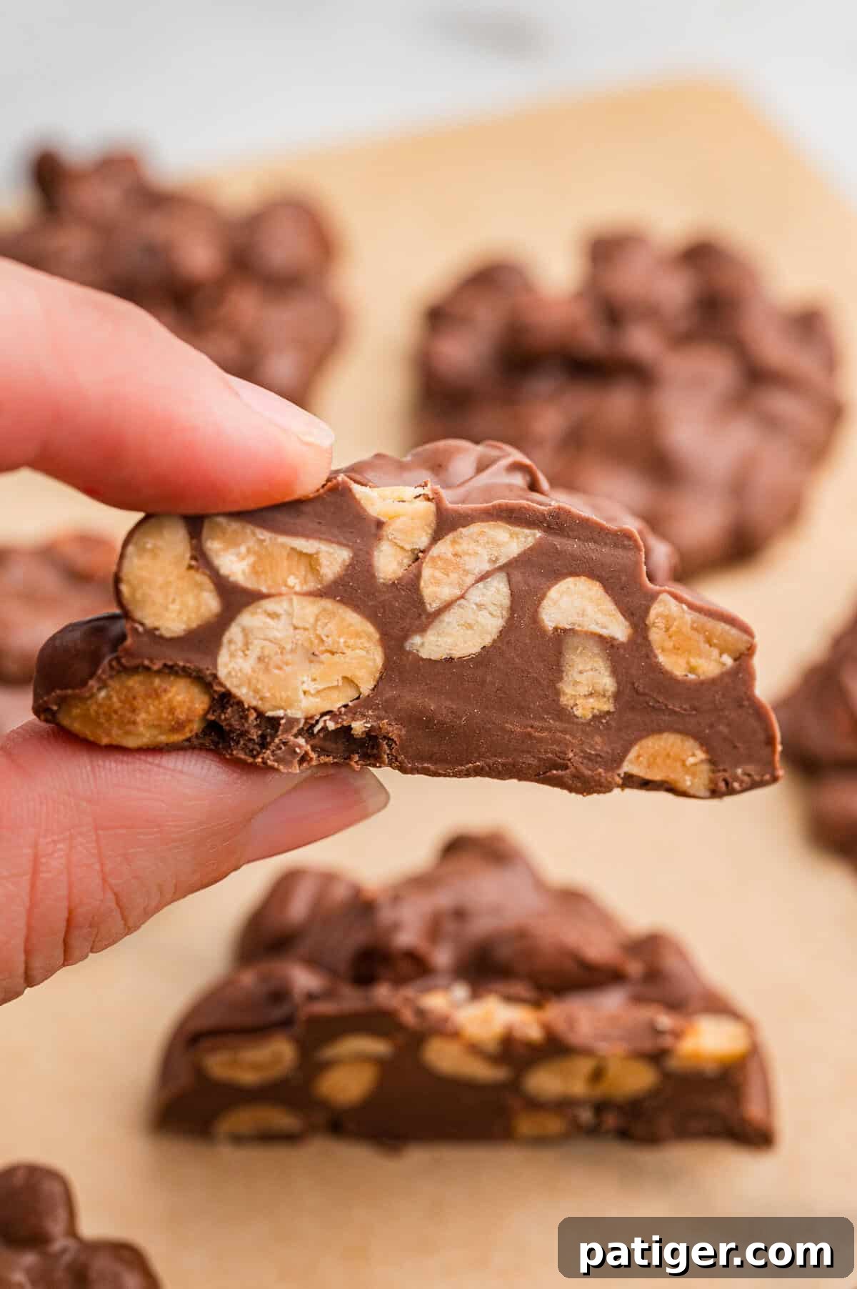 Close-up of a hand holding a piece of crock pot christmas candy with visible peanuts inside.