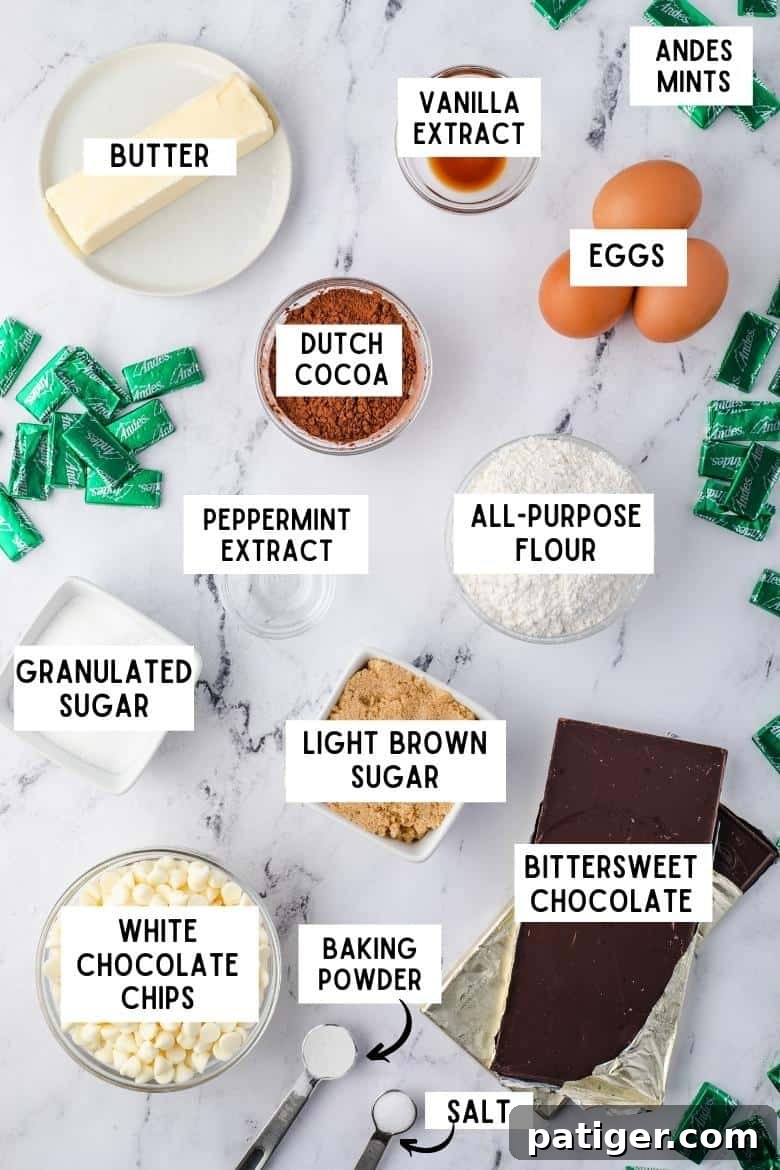 A curated display of ingredients on a kitchen countertop: a stick of softened butter, pure vanilla extract, a pile of Andes mints, a container of Dutch cocoa powder, three fresh eggs, all-purpose flour, fine salt, baking powder, granulated sugar, light brown sugar, peppermint extract, white chocolate chips, and bittersweet chocolate bars, ready for baking.