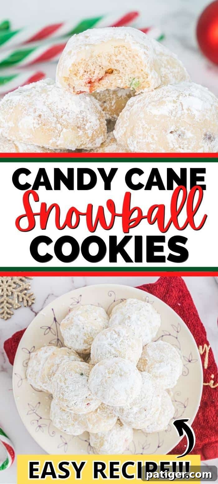 Crimson Swirl Snowball Delights 10 A visually appealing full-frame shot of multiple Peppermint Candy Cane Snowball Cookies, emphasizing their snowy coating and inviting texture, with the promise of an easy recipe.