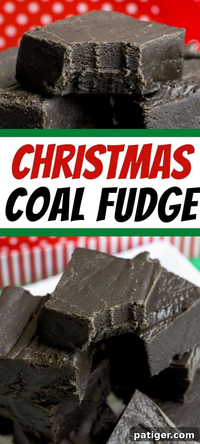 Christmas Coal Fudge Pin