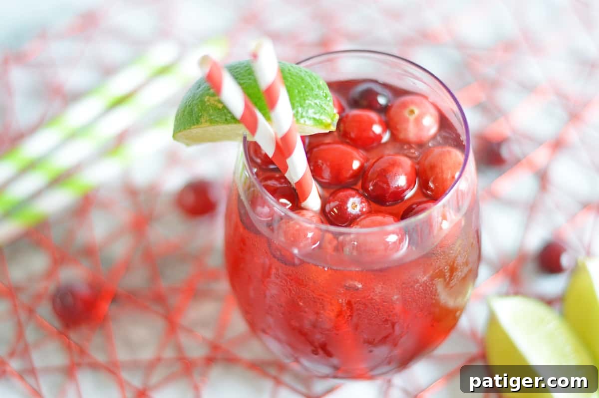 A beautifully presented Cape Codder cocktail, complete with paper straws, a lime wedge, and fresh cranberries, ready to be enjoyed.