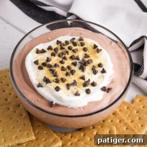 Chocolate pudding and cool whip dip with mini chocolate chips and graham crackers.