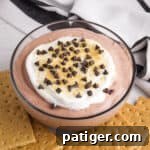 Chocolate pudding and cool whip dip with mini chocolate chips and graham crackers.