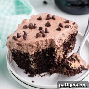 A delicious slice of Baileys chocolate poke cake, topped with fluffy chocolate frosting and mini chocolate chips, with a fork taking a bite. A bottle of Baileys is visible in the background.