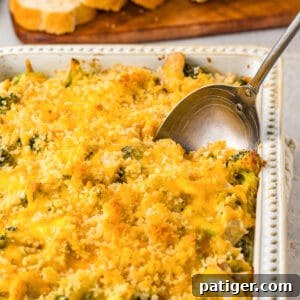 Chicken Divan in white casserole dish topped with panko breadcrumbs and melted cheese.