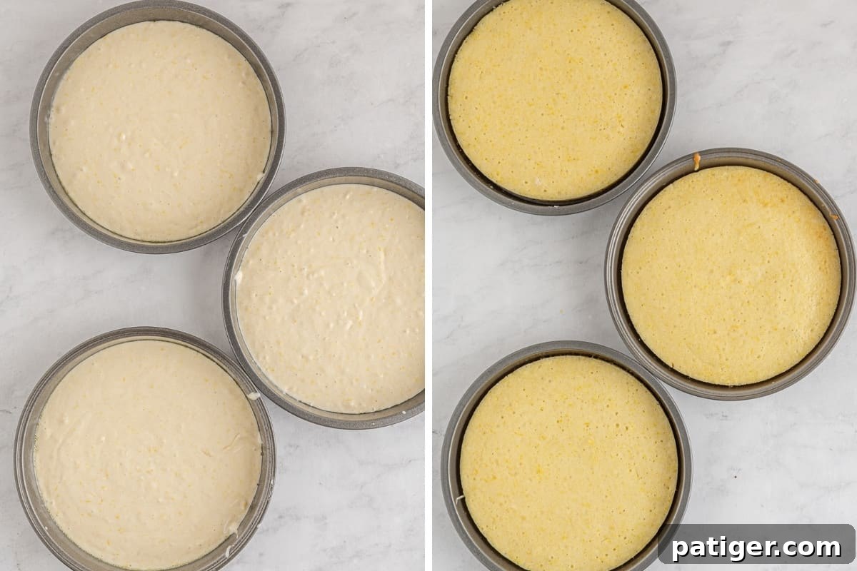A visual comparison of three round cakes before and after baking.