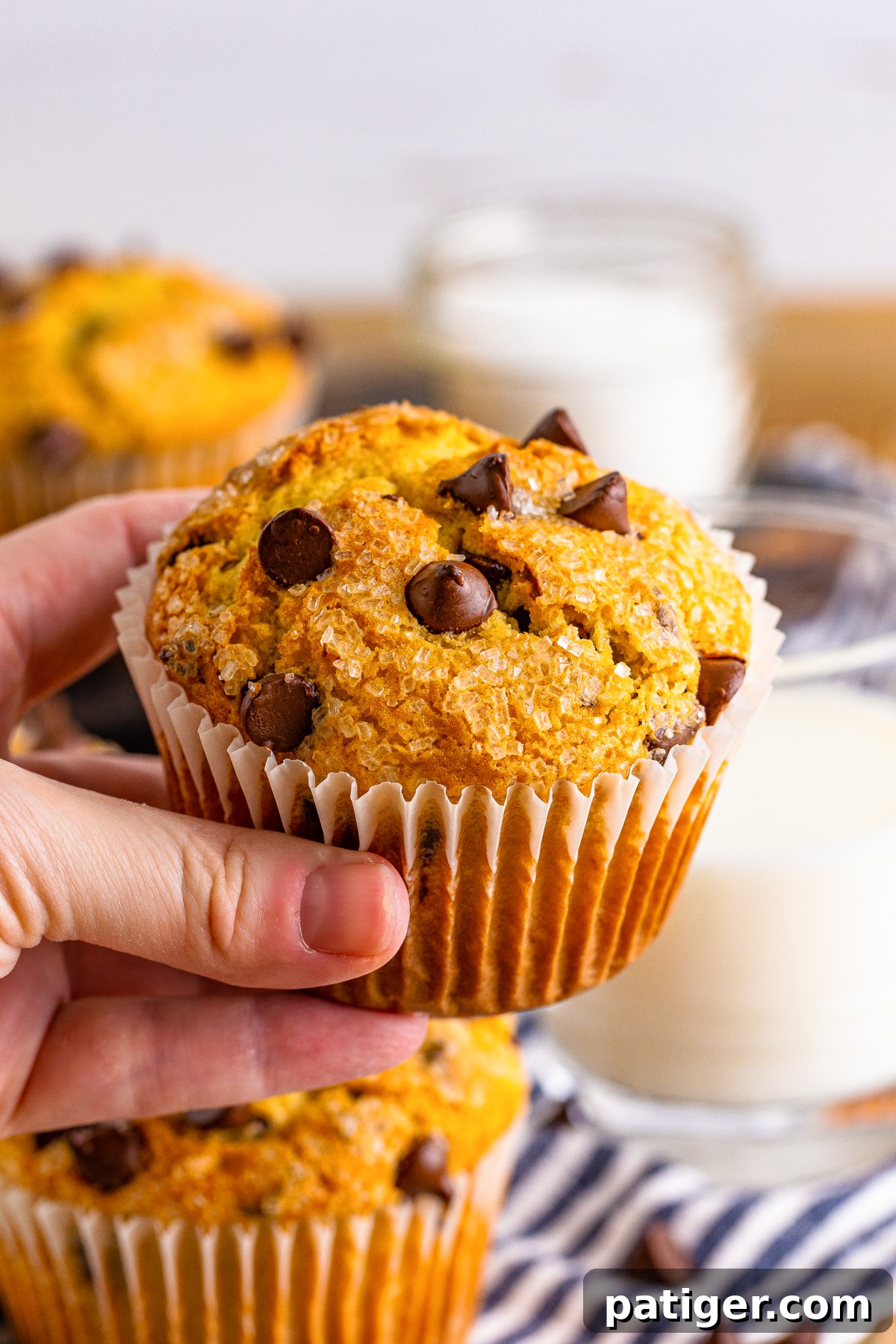 Ultimate Bakery Chocolate Chip Muffins 12 A hand holding a large, freshly baked homemade chocolate chip muffin, emphasizing its generous size and inviting texture.