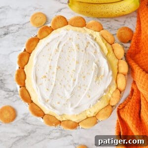 No-Bake Banana Pudding Pie with Cool Whip and Nilla wafers on top.