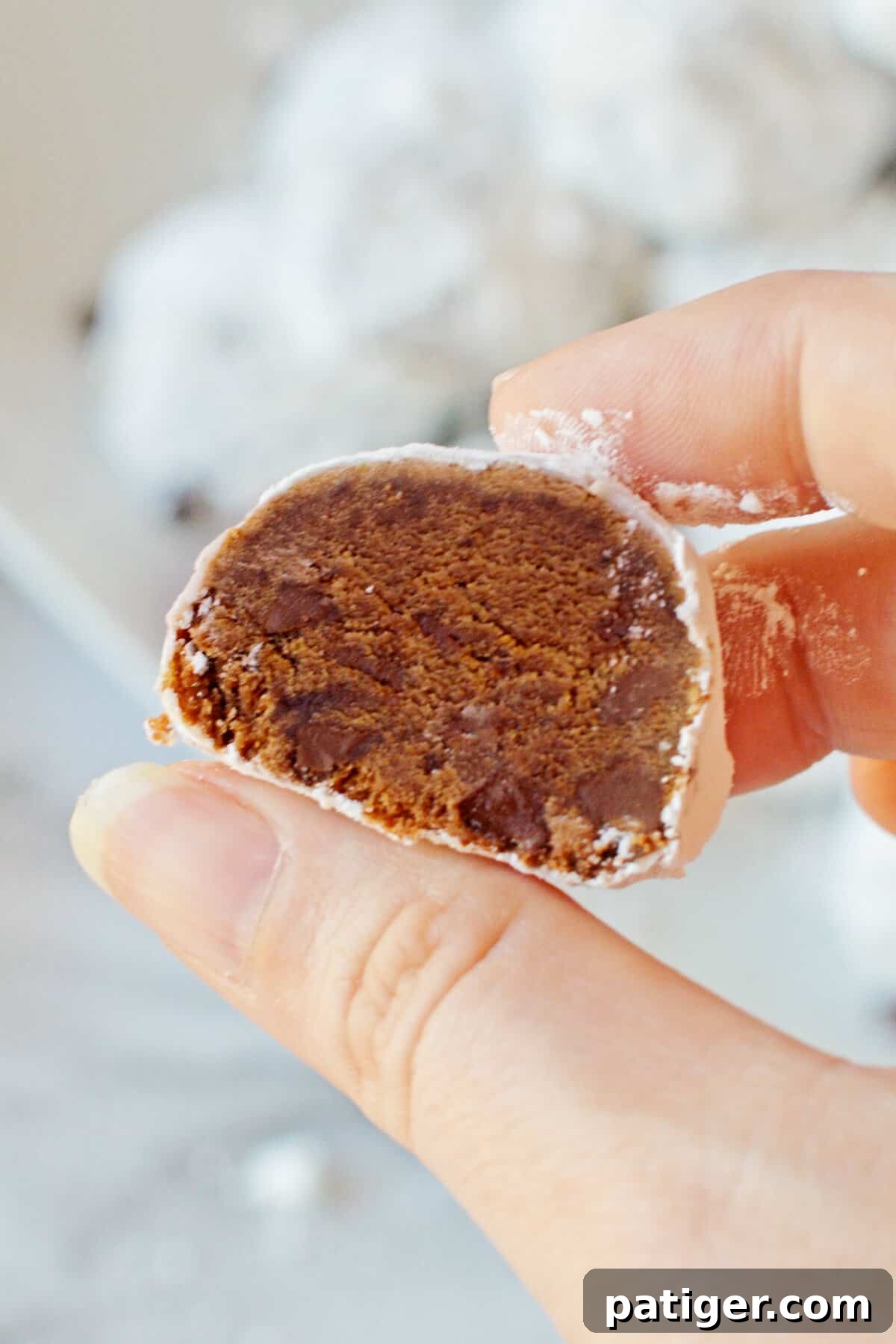 Woman's hand holding a chocolate snowball cookie with mini chocolate chips.