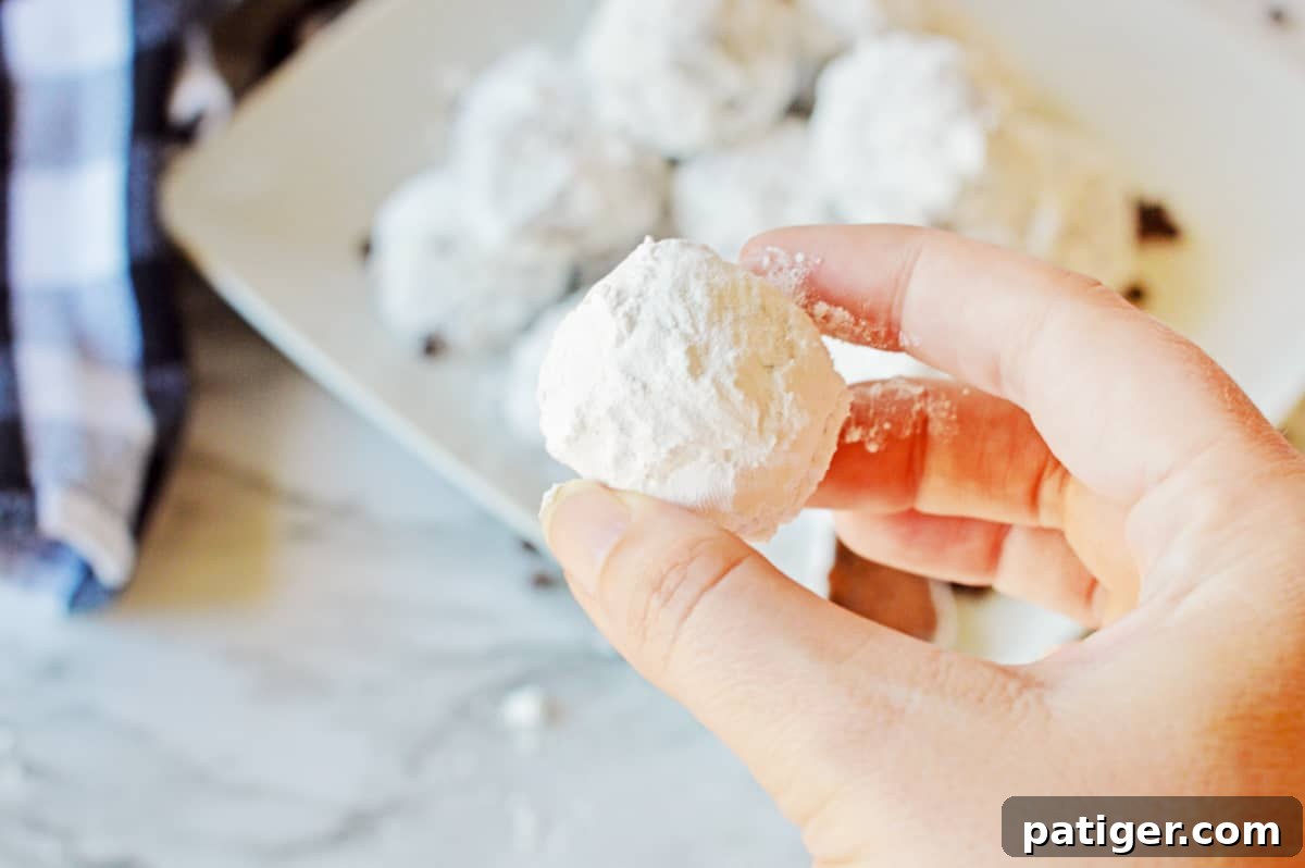Hand holding chocolate snowball cookie.