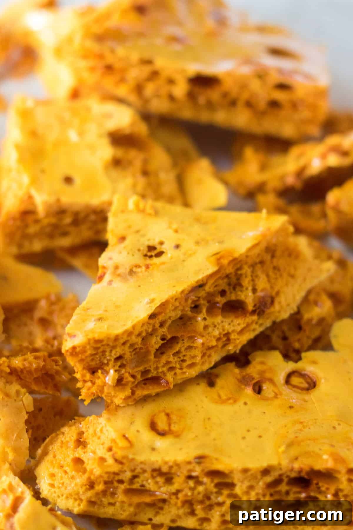 Golden Honeycomb Chocolate Crunch 8 Shards of honeycomb candy.