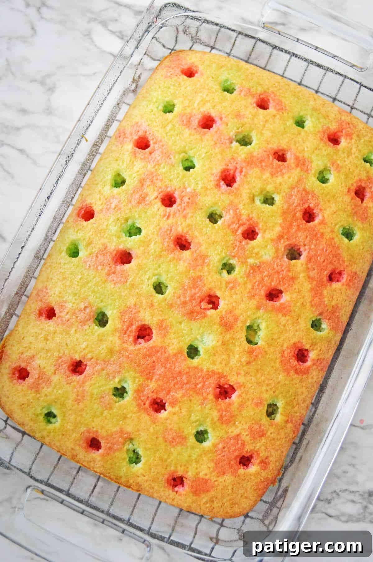 Rectangular vanilla cake poked with holes over the entire cake, each about 1 inch apart. Red and green jello has been poured into holes in an alternating pattern.