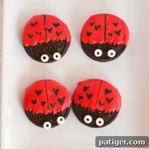 Oreo cookies dipped in red chocolate and decorated to look like ladybugs with heart spots for Valentine's Day.