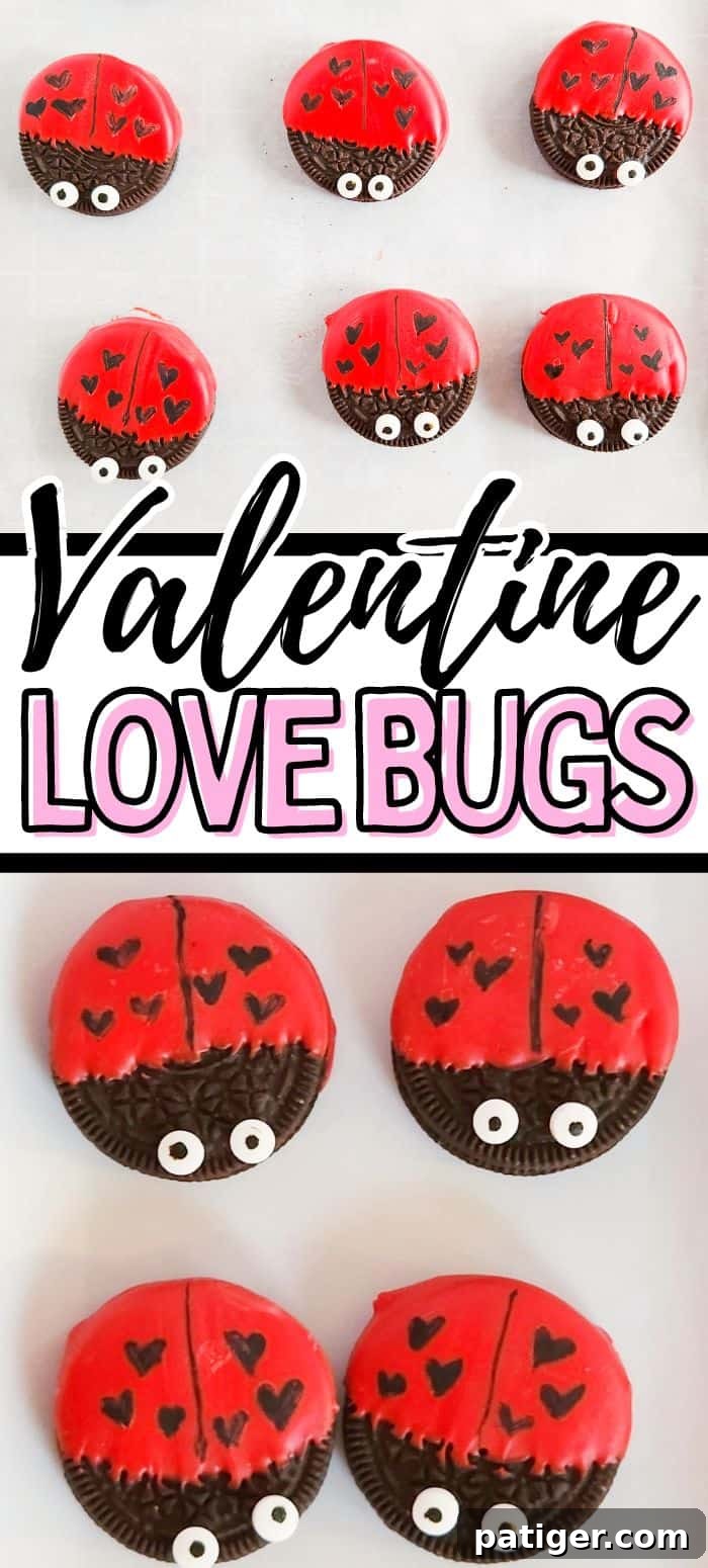 Valentine Love Bugs pin image.