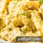 Creamy Crockpot Garlic Parmesan Chicken Pasta 10 Creamy crockpot garlic parmesan chicken pasta with rotini.