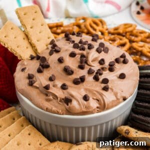 Brownie batter dip with graham crackers, pretzels, and cookies for dipping.