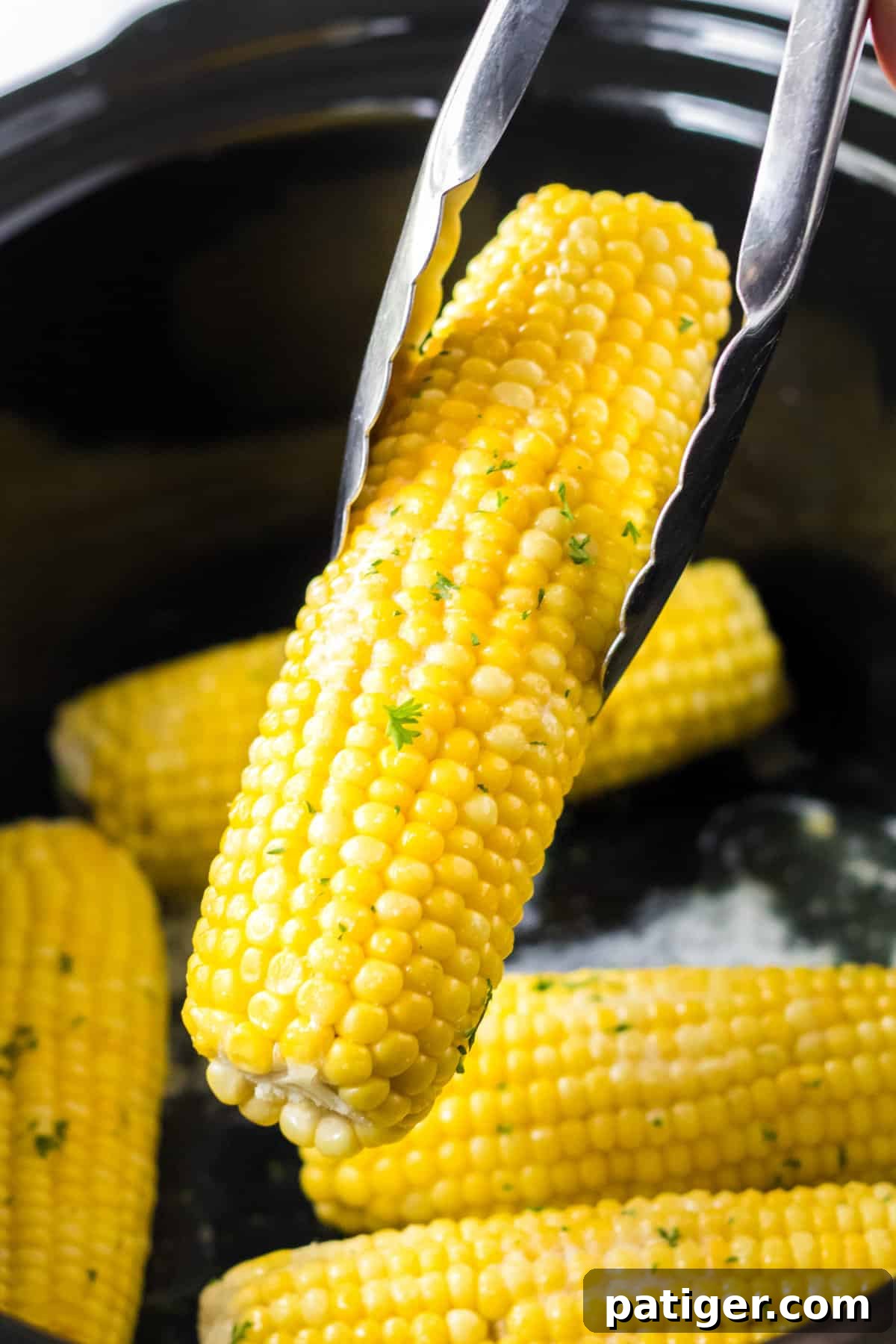 Set It and Forget It Corn on the Cob 3 Corn on the cob being carefully lifted from the slow cooker with tongs, showing its perfectly steamed appearance.
