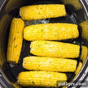Set It and Forget It Corn on the Cob 9 Slow cooker corn on the cob with butter and seasonings.