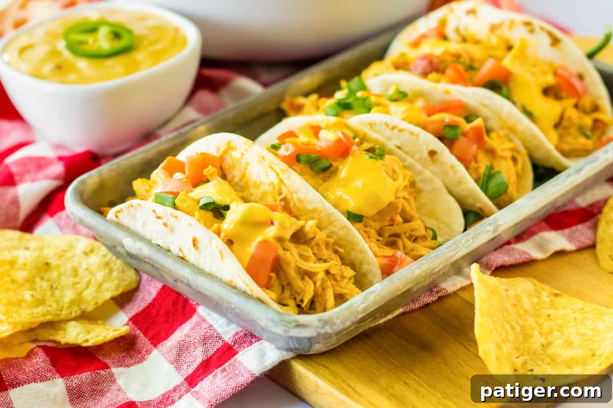 Flavorful crockpot Rotel chicken with queso, served invitingly in soft tortillas, ready for a delicious meal.