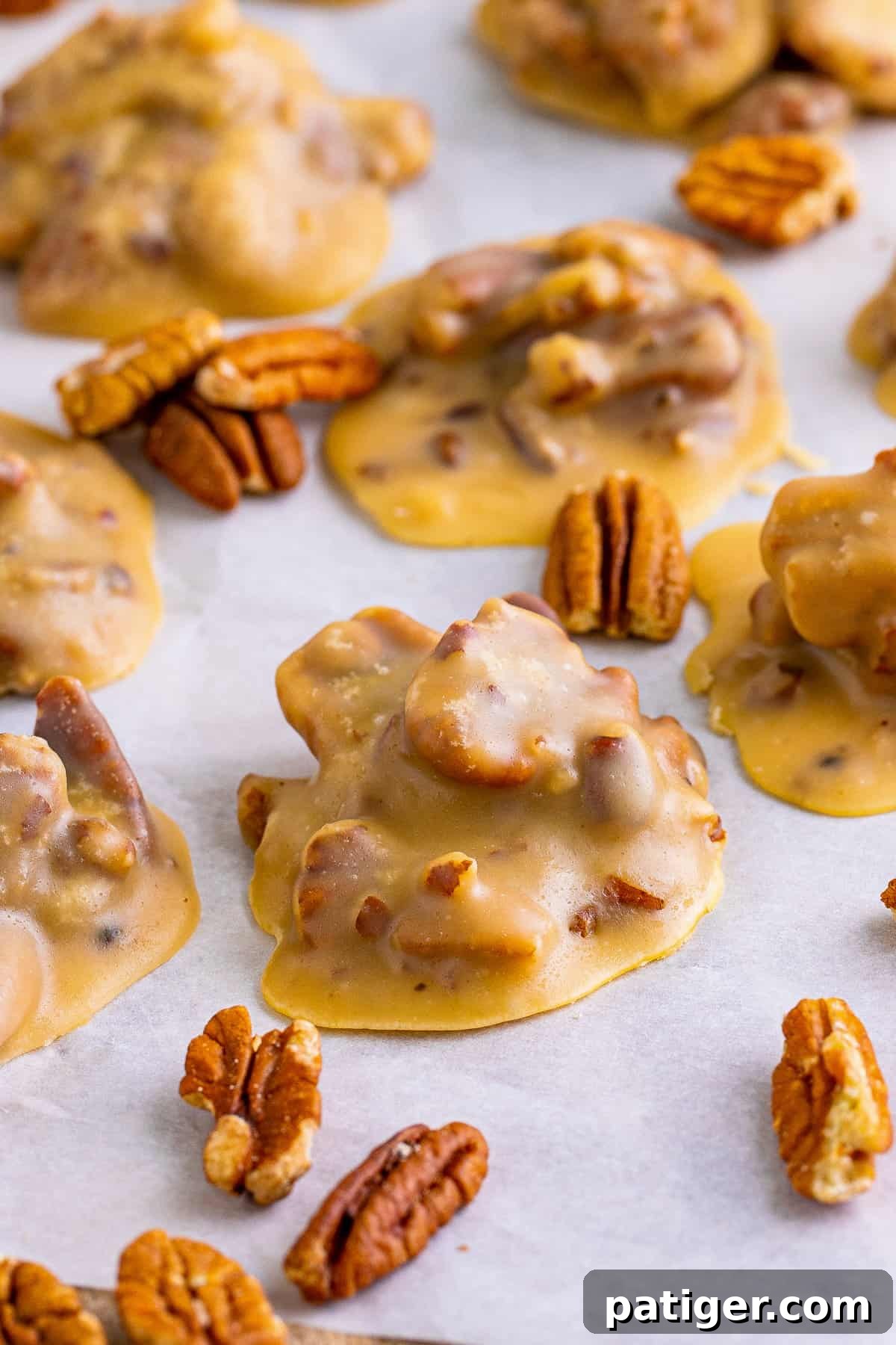 Southern pecan pralines on parchment paper with pieces of pecans around them.
