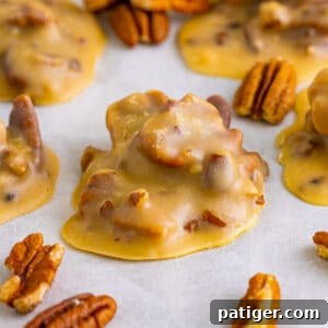 Southern pecan pralines on parchment paper with pecans around them.