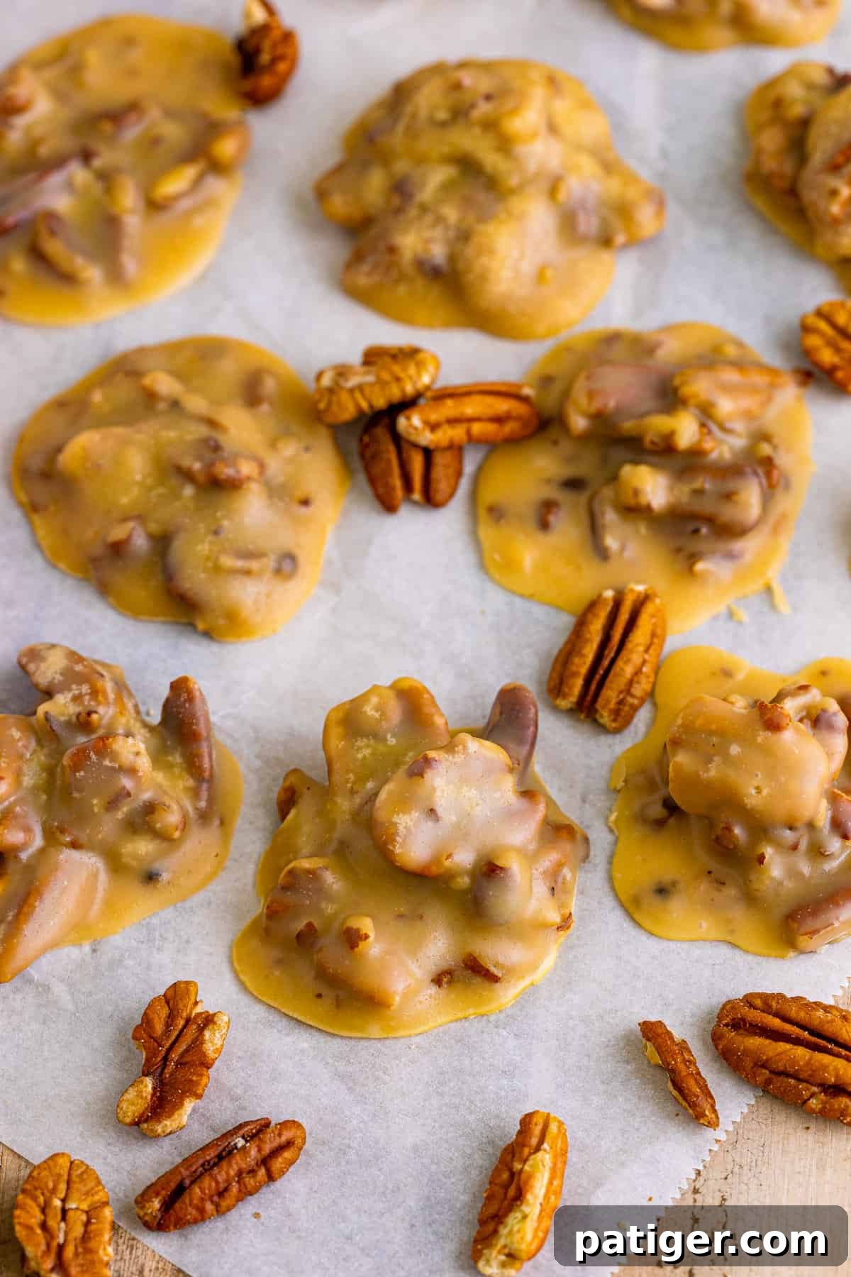 Southern pralines and pecans on parchment paper.