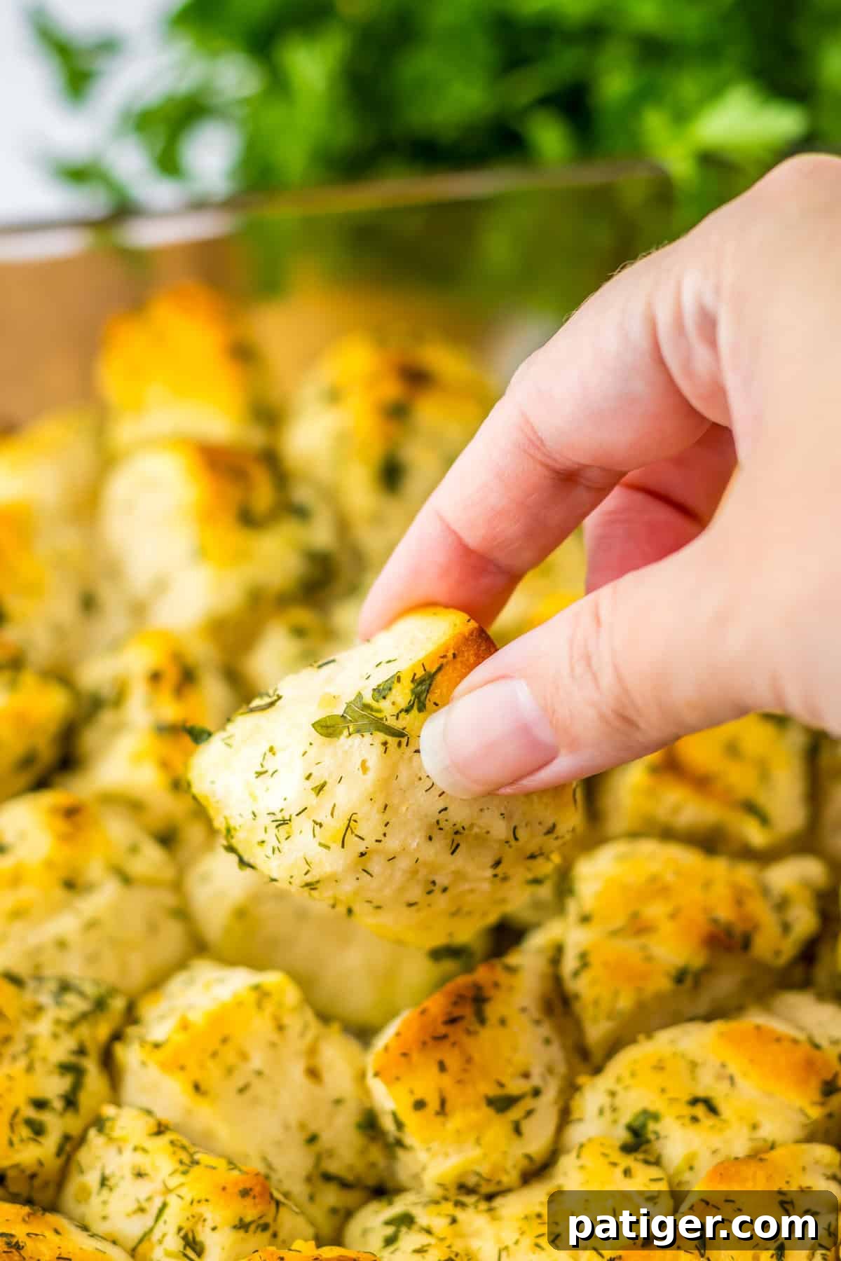 Aromatic Pull-Apart Herbed Biscuits 3 A hand gently pulls a piece of herb-coated pull-apart biscuit from the baking dish, revealing its soft interior.