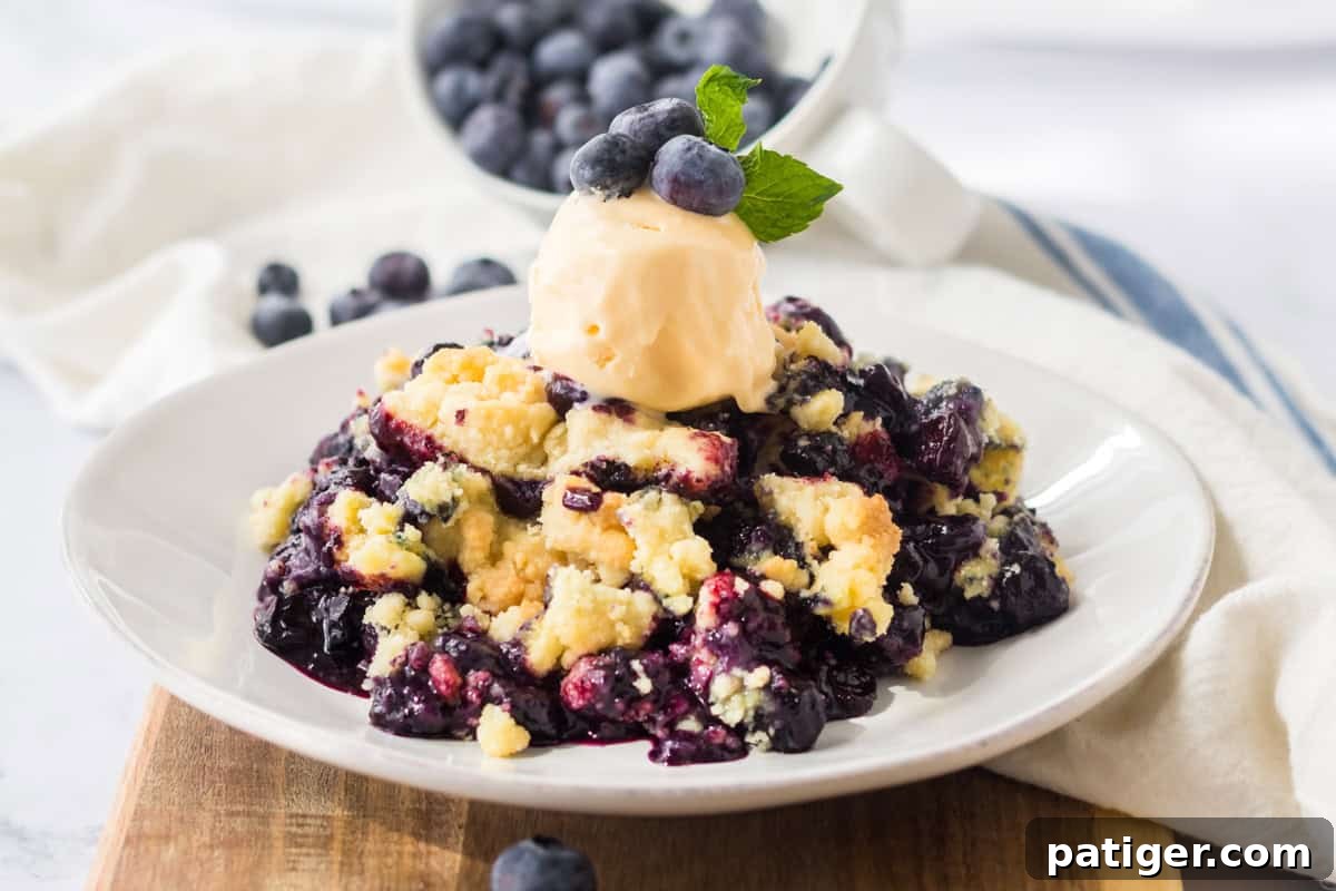Easy blueberry cobbler made with cake mix, generously topped with melting vanilla ice cream in a white bowl.
