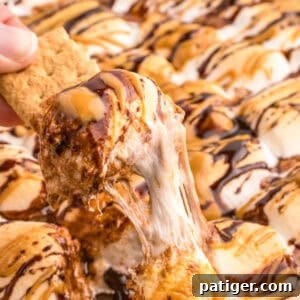 Graham cracker being dipped in chocolate peanut s'mores dip.