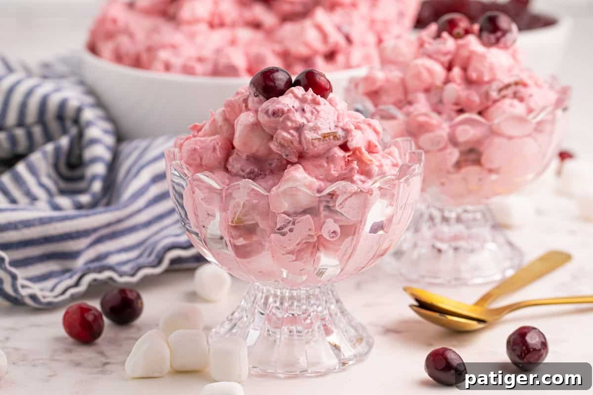 Cranberry fluff salad with marshmallows in glass bowls and topped with fresh cranberries, ready to serve.