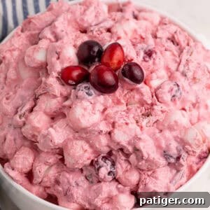 Cranberry fluff salad served with fresh cranberries on top.