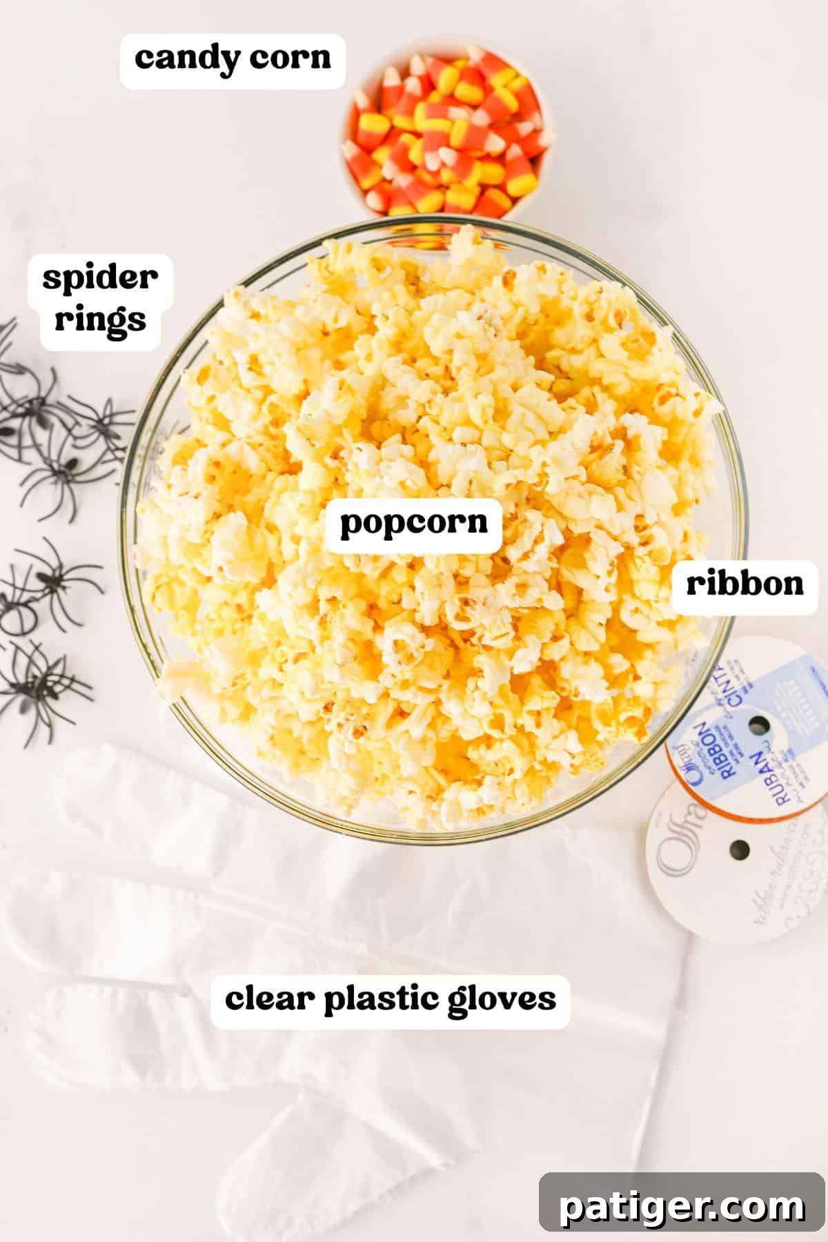 Spooky Popcorn Paws 3 Bowl of popped popcorn, bowl of candy corn, clear plastic gloves, spider rings, and thin black and orange ribbon.