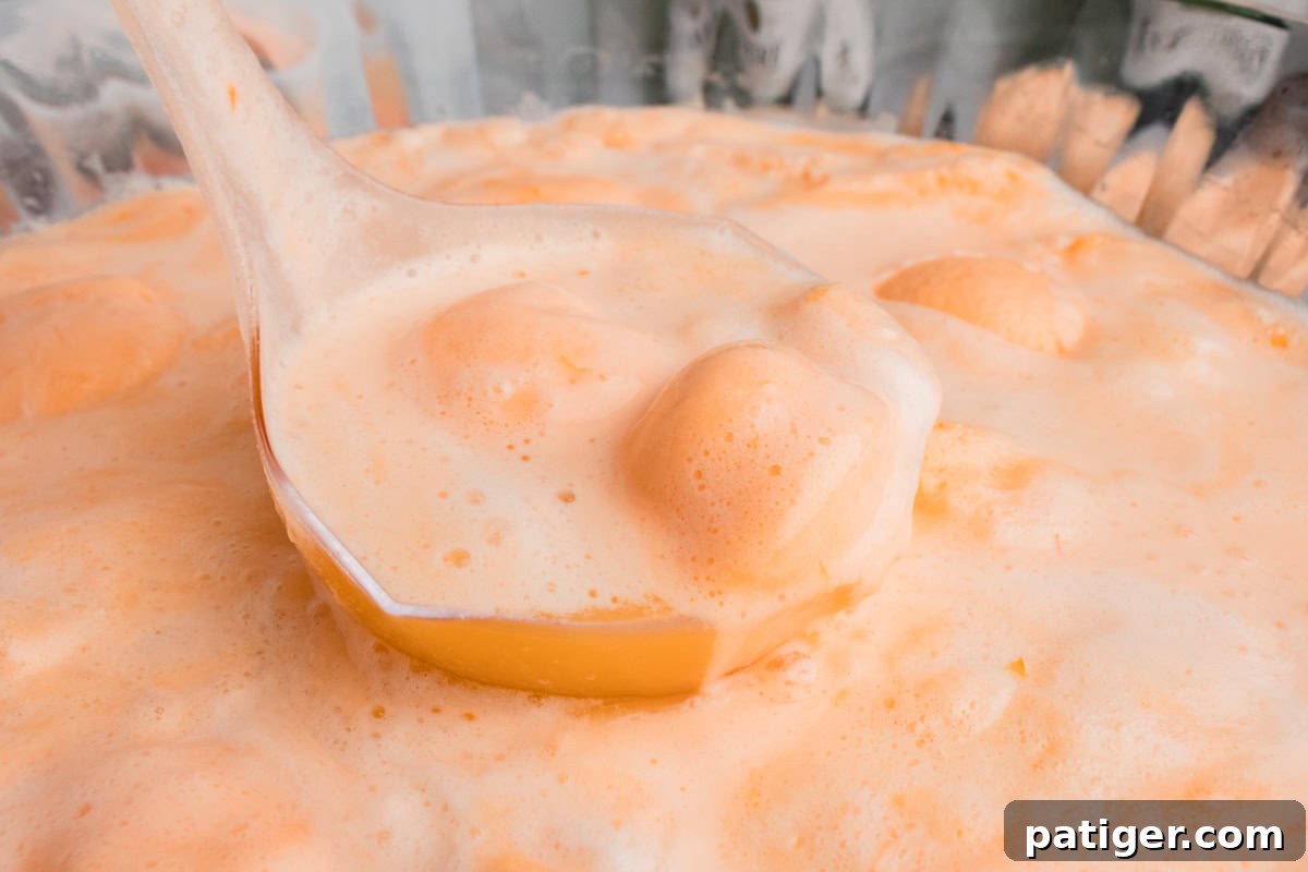 Sparkling Sherbet Punch 9 Close up of scoop of champagne punch with sherbet.