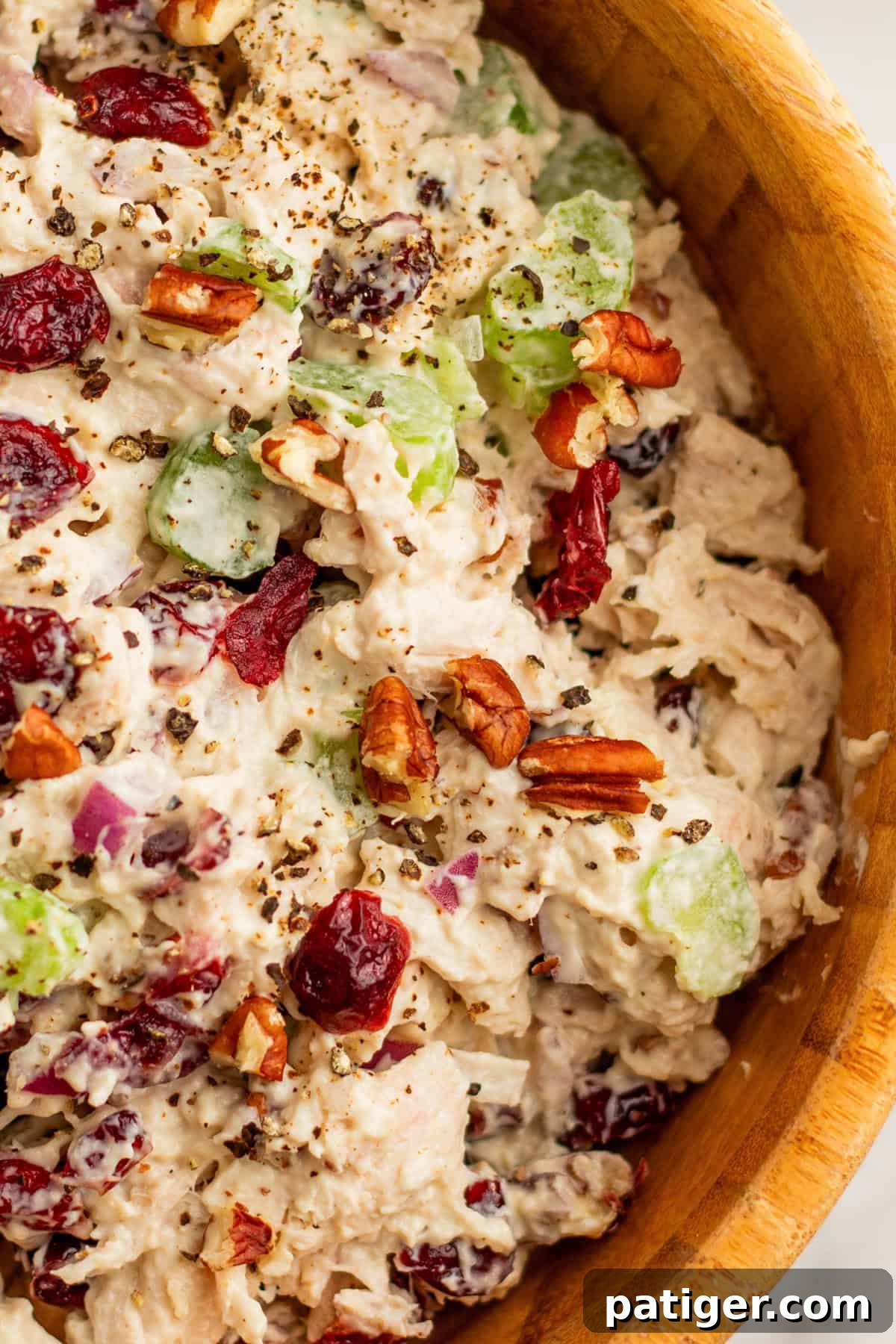 A close-up view of the irresistible cranberry chicken salad, beautifully garnished with a sprinkle of chopped pecans, fresh herbs, and a dash of salt and pepper, ready to be savored.
