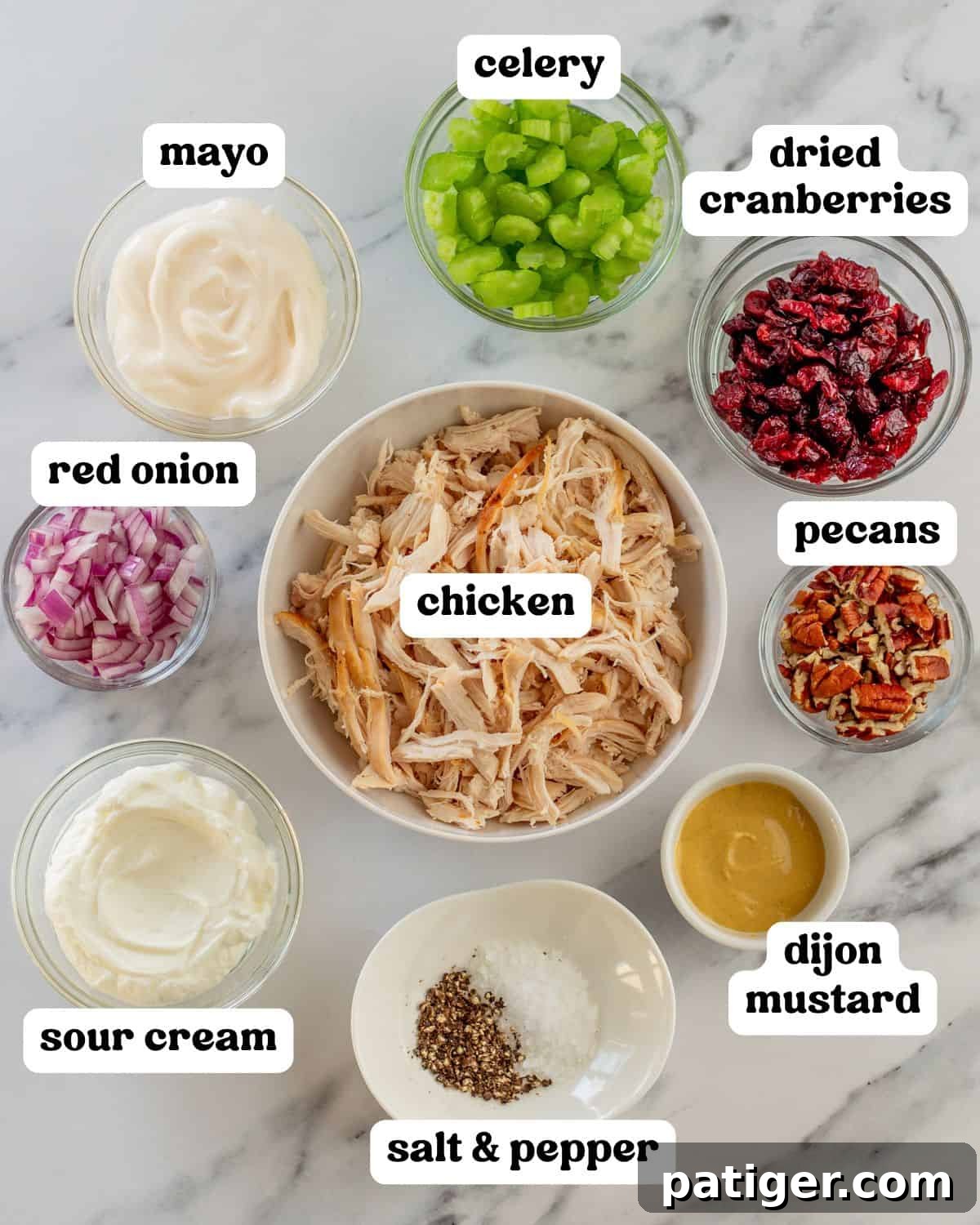 All the vibrant ingredients for a delicious cranberry chicken salad laid out in separate bowls on a countertop, including shredded chicken, dried cranberries (craisins), finely chopped red onion, crunchy pecans, crisp celery, and seasonings, clearly labeled for easy preparation.