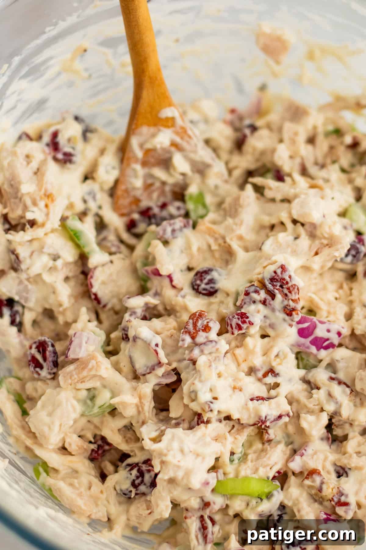 The fully assembled chicken or turkey cranberry salad, complete with pecans and a creamy dressing, presented in a bowl with a wooden spoon, showcasing a harmonious blend of textures and colors.